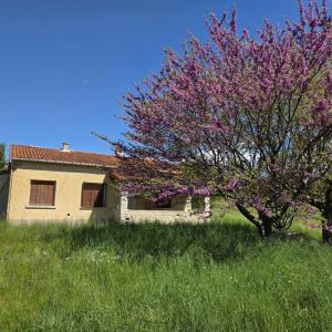 Vente Maison 5 pi�ces VERCOIRAN 26170
