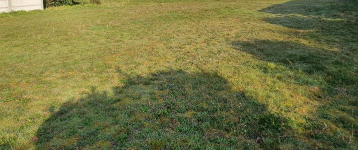Vente Terrain BRACH 33480
