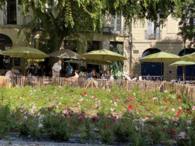 Vente Commerce MONTPELLIER 34000