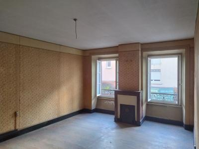 Vente Maison 10 pi�ces MACLAS 42520