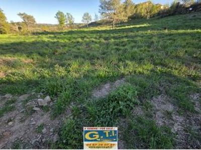 Vente Terrain BABEAU-BOULDOUX 34360