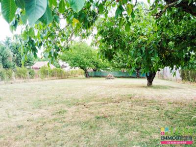 Vente Terrain LAGRAVE 81150