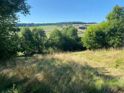 Vente Terrain SOMBERNON 21540