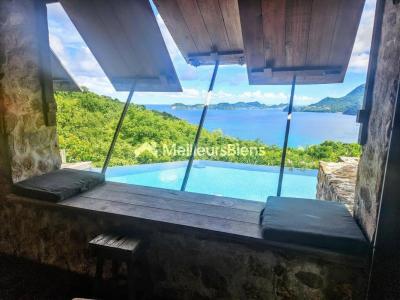 Vente Prestige TERRE-DE-BAS 97136