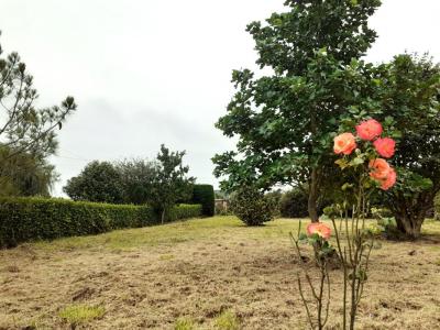 Vente Terrain TELGRUC-SUR-MER 29560