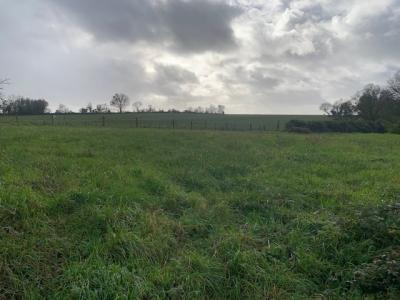 Vente Terrain SAINT-MARTIN-LARS-EN-SAINTE-HERM 85210