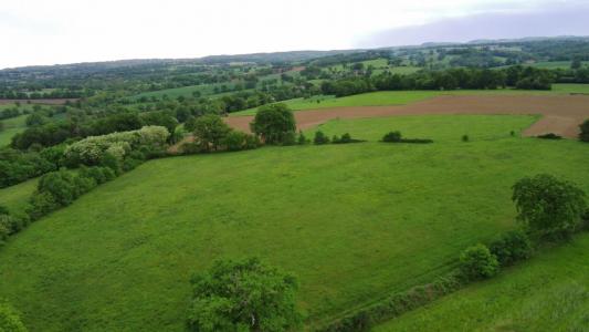 Vente Terrain SAINT-MARTIN-LE-VIEUX 87700