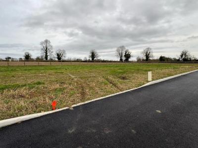 Vente Terrain CERNAY-LES-REIMS 51420