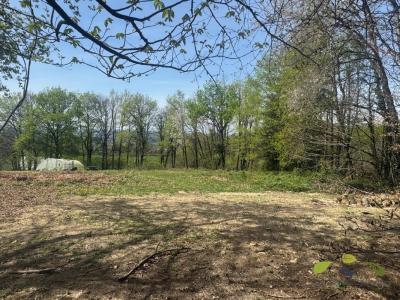 Vente Terrain AFFIEUX 19260