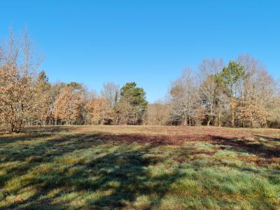 Vente Terrain SAINT-LAURENT-DES-HOMMES 24400
