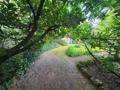 Vente Terrain SAINTE-GENEVIEVE-DES-BOIS 91700