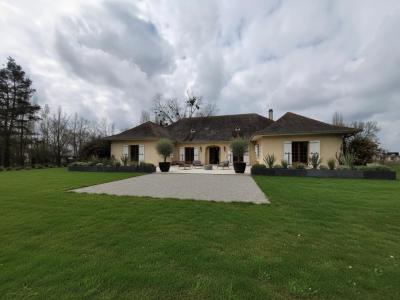 Vente Prestige SAINT-DENIS-DE-PILE 33910