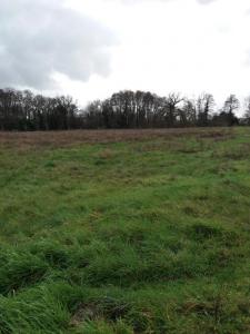 Vente Terrain FARGUES-SAINT-HILAIRE 33370