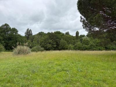 Vente Terrain FARGUES-SAINT-HILAIRE 33370