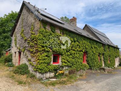 Vente Maison 12 pi�ces MAYENNE 53100