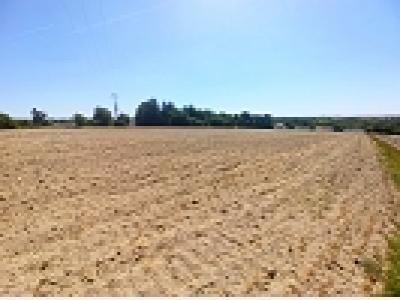 Vente Terrain ABLANCOURT 51240