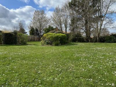 Vente Terrain LEOGNAN 33850