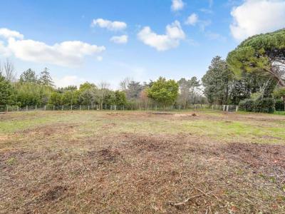 Vente Terrain TOULOUSE 31400