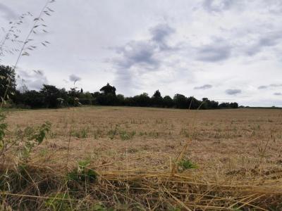 Vente Terrain VACQUIERS 31340