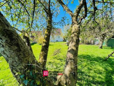Vente Maison 6 pi�ces COULOMMIERS 77120
