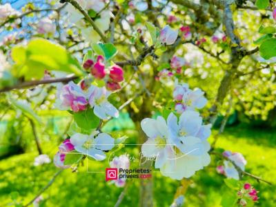 Vente Maison 9 pi�ces COULOMMIERS 77120