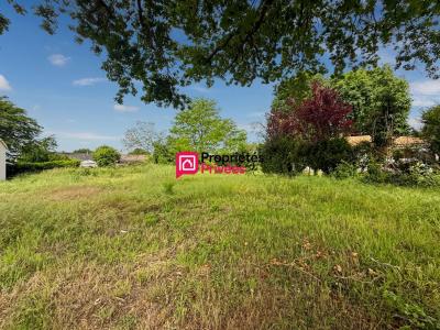Vente Terrain CASTELNAU-DE-MEDOC 33480