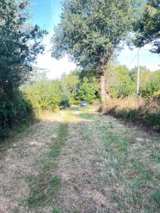 Vente Terrain SARZEAU 56370