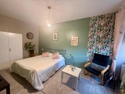 Location Appartement 2 pi�ces SAINT-ETIENNE 42000