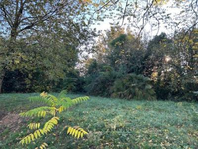 Vente Terrain SAINT-SULPICE-ET-CAMEYRAC 33450