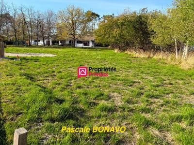 Vente Terrain HOURTIN 33990