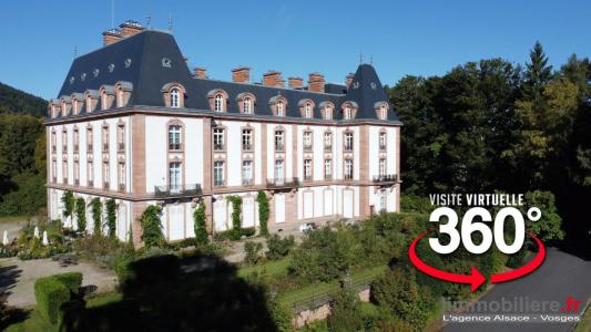 Vente Appartement 8 pi�ces SAINT-DIE 88100