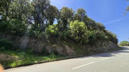 Vente Terrain SARTENE 20100