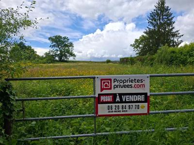 Vente Terrain SANVIGNES-LES-MINES 71410