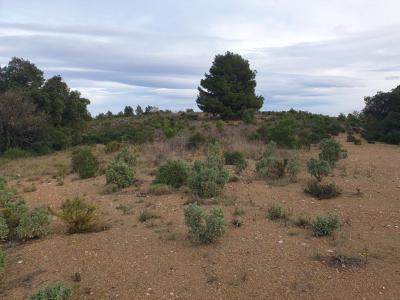 Vente Terrain TORDERES 66300