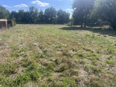 Vente Terrain SAINT-ANDRE-DE-CUBZAC 33240