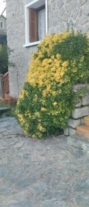 Location Maison 4 pi�ces PETRETO-BICCHISANO 20140