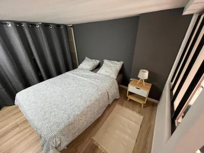 Location Appartement 2 pi�ces SAINT-ETIENNE 42100