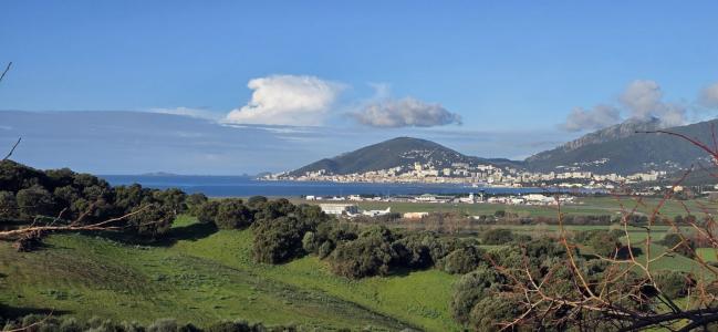 Vente Appartement 3 pi�ces BASTELICACCIA 20129