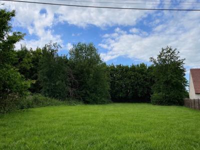 Vente Terrain BEAUMONT-EN-BEINE 02300