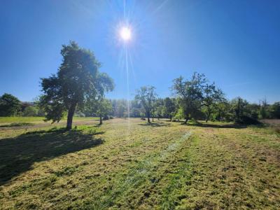 Vente Terrain PONT-L'EVEQUE 14130
