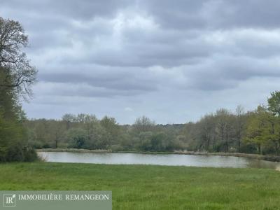 Vente Prestige CHAUMONT-SUR-THARONNE 41600
