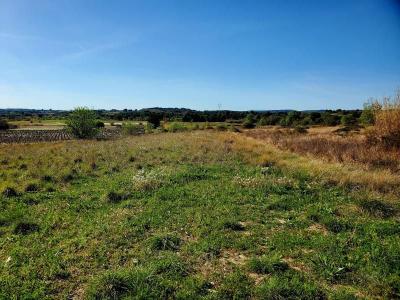 Vente Terrain LOUPIAN 34140