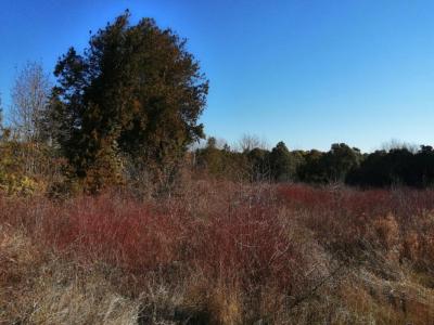 Vente Terrain MIRAMAS 13140