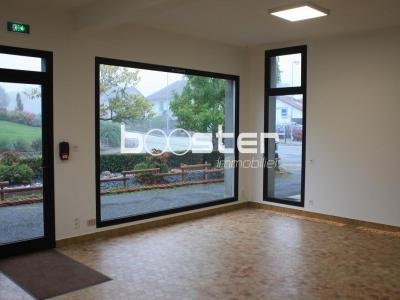 Location Local commercial SAINT-HILAIRE-LES-PLACES 87800