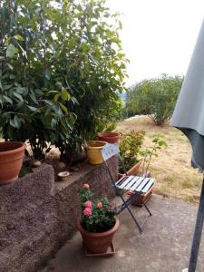 Location Appartement 2 pi�ces FURIANI 20600
