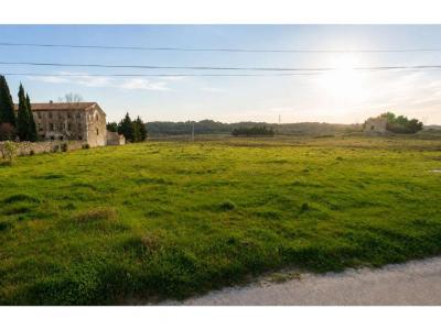 Vente Terrain MAILHAC 11120