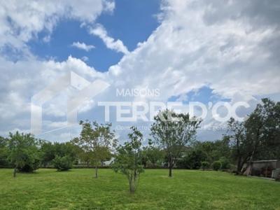 Vente Terrain GAILLAC 81600