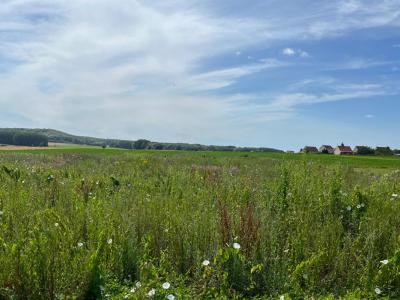 Vente Terrain BEAURAINS-LES-NOYON 60400