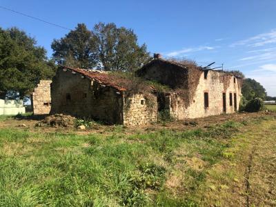 Vente Maison CHATELLIERS-CHATEAUMUR 85700