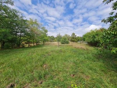 Vente Terrain SAINT-MEDARD-EN-JALLES 33160
